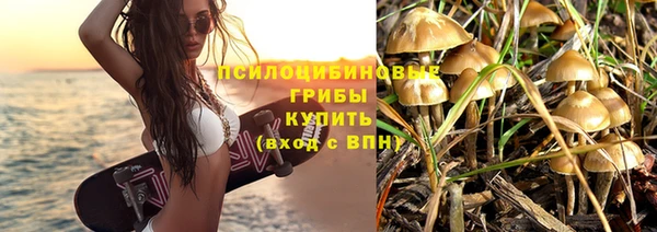 дмт Алексин