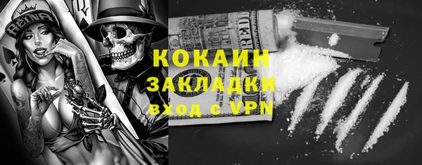 дмт Алексин