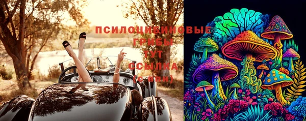 дмт Алексин