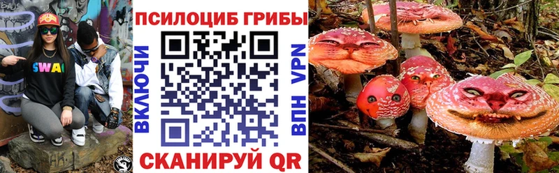 Псилоцибиновые грибы ЛСД закладка мега как зайти Шелехов